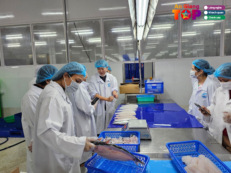 Cong-ty-cp-xnk-thuy-san-ca-bien-ho-angiangtoplist