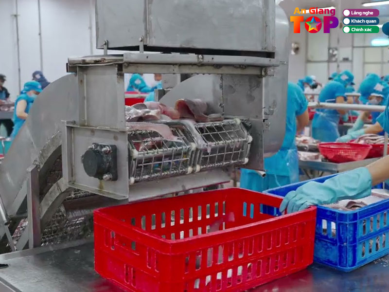 Cong-ty-tnhh-che-bien-thuy-san-quang-huy-angiangtoplist