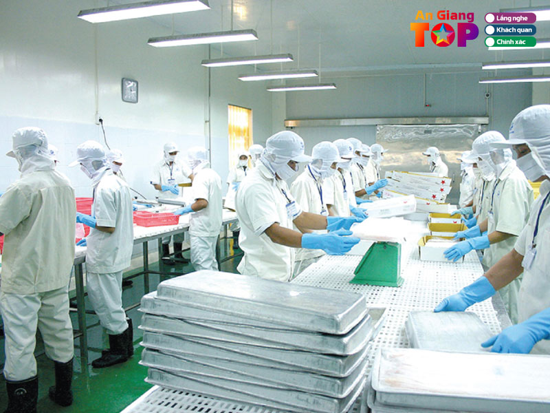 Cong-ty-tnhh-thuy-san-dong-a-angiangtoplist