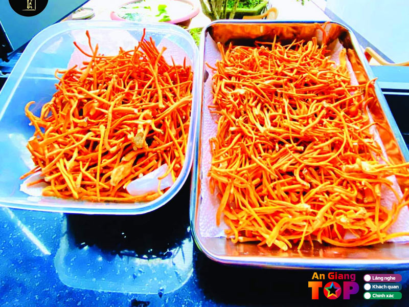 Dong-trung-ha-thao-trang-tran-angiangtoplist