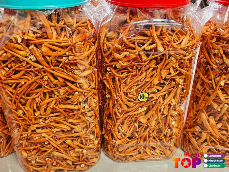 Dong-trung-ha-thao-tuoi-cordyceps-militaris-angiangtoplist