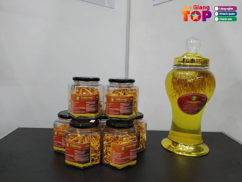 Dong-trung-ha-thao-tuoi-thien-phu-angiangtoplist