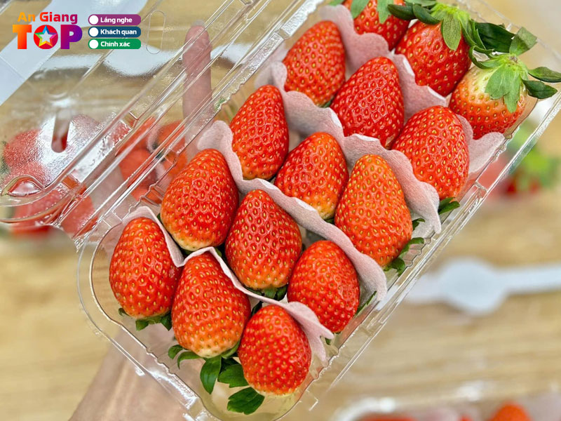 Greenfruits-angiangtoplist
