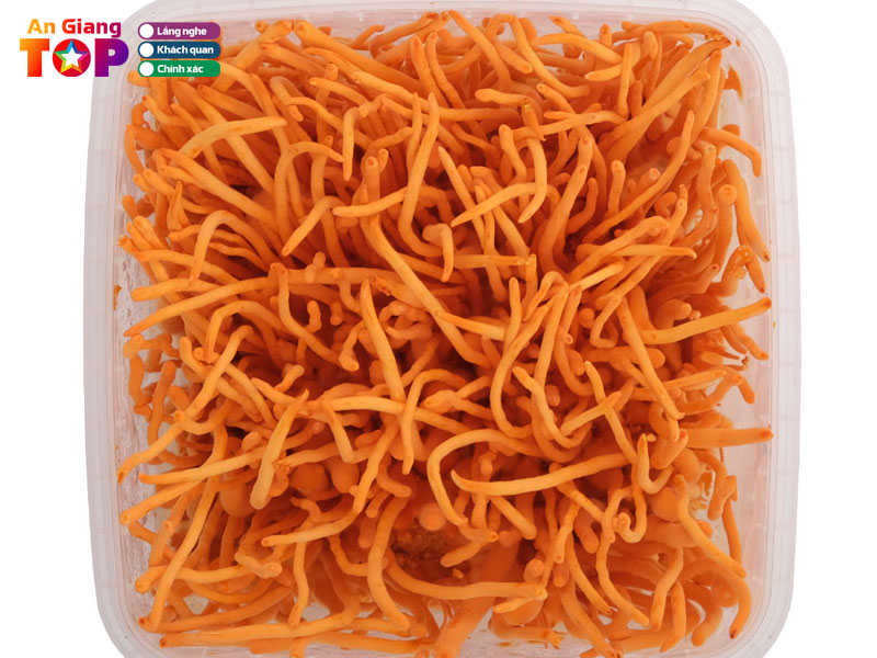 Nha-thuoc-nhat-hong-angiangtoplist