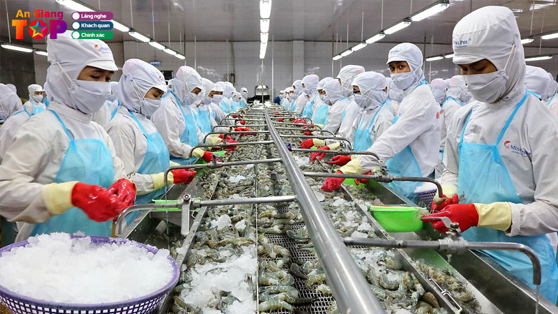 Top-10-cong-ty-thuy-san-o-an-giang-co-tiem-nang-noi-bat-angiangtoplist