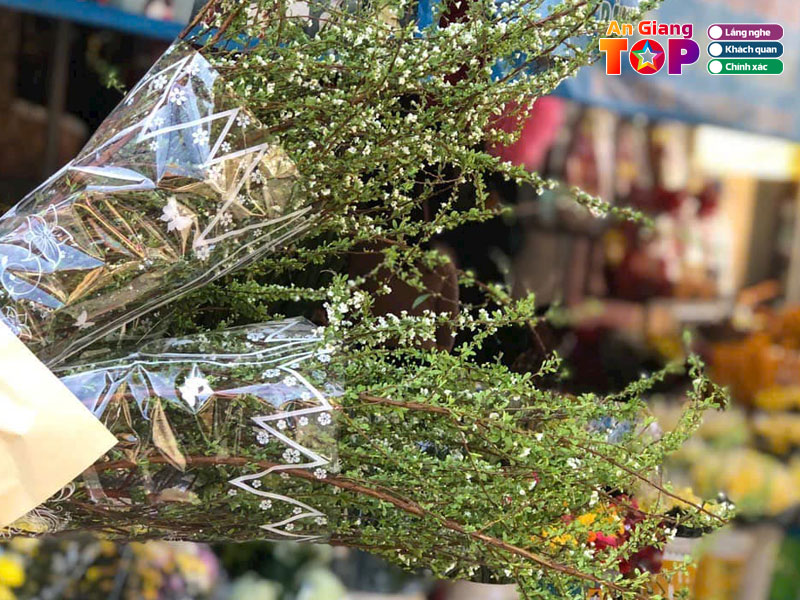 Hoa-tuoi-be-ba-angiangtoplist