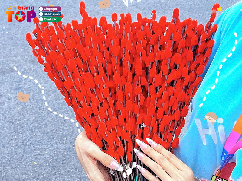 Moss-long-xuyen-angiangtoplist