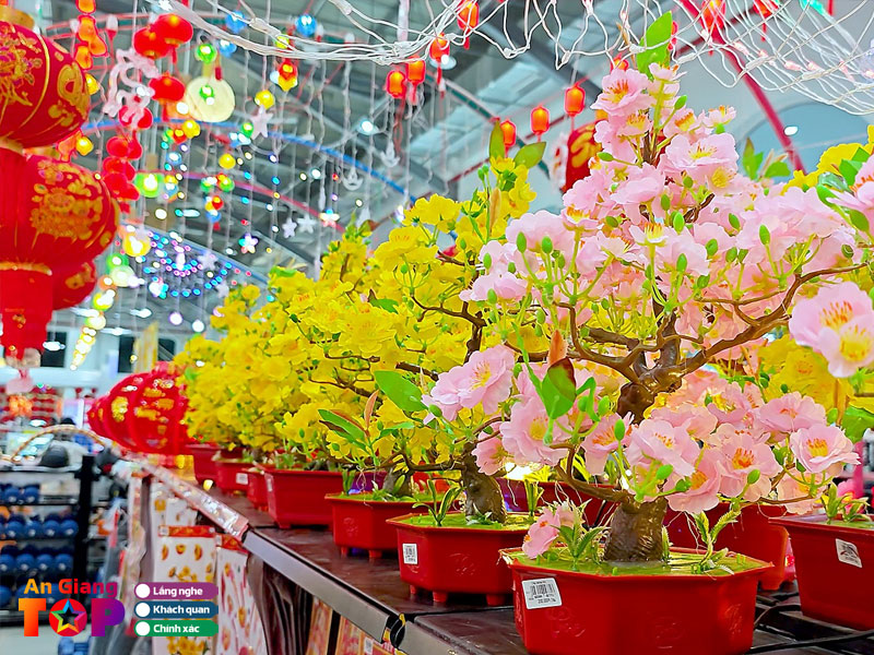 Sieu-thi-tu-son-angiangtoplist