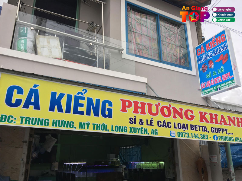 Ca-koi-phuong-khanh-angiangtoplist