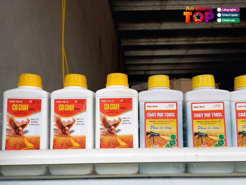 Cong-ty-tnhh-nghia-tham-angiangtoplist