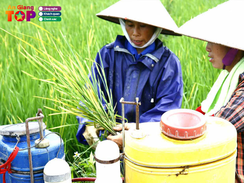 Cua-hang-thuoc-bao-ve-thuc-vat-cong-khanh-angiangtoplist