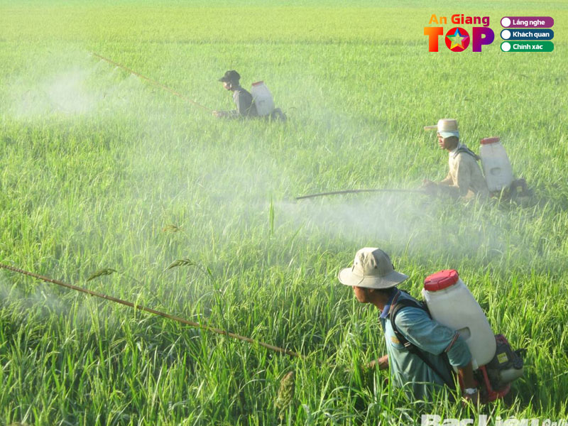 Dai-ly-sau-diem-angiangtoplist