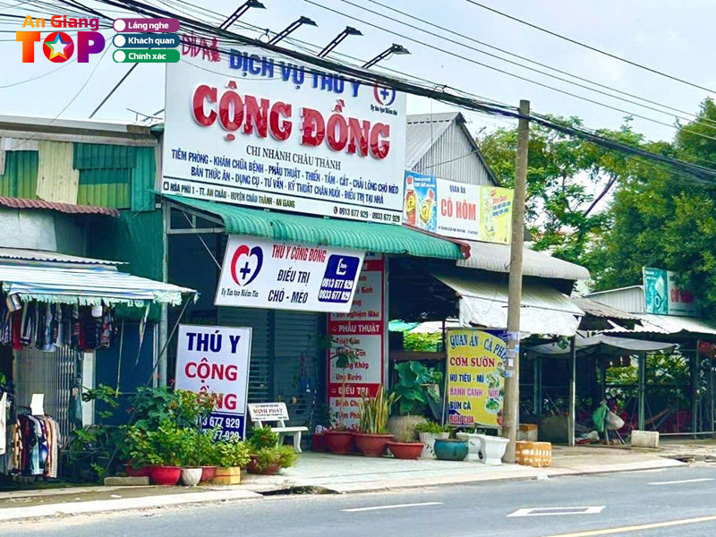 Thu-y-cong-dong-angiangtoplist