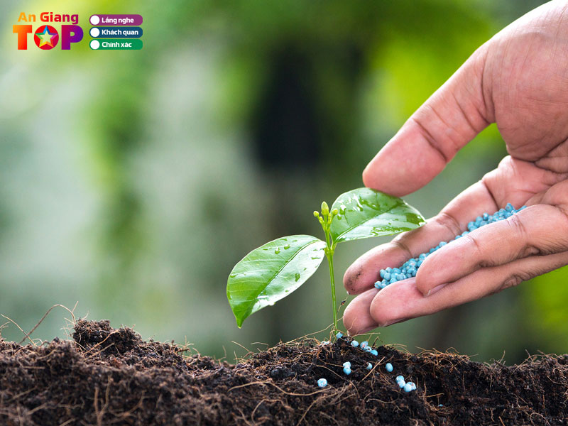 Thuoc-bao-ve-thuc-vat-kim-nga-angiangtoplist