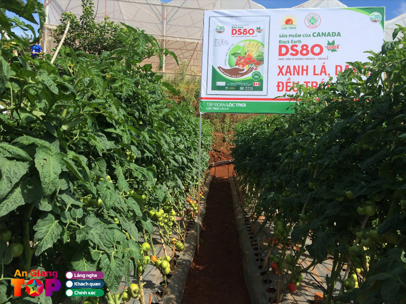 Thuoc-bao-ve-thuc-vat-loc-troi-angiangtoplist