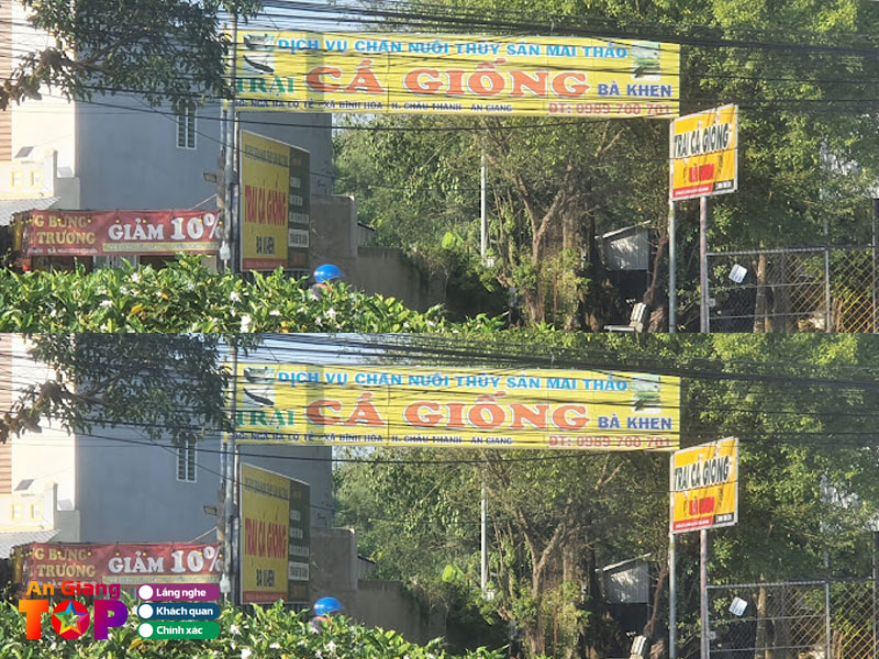 Trai-giong-ca-ba-khen-angiangtoplist