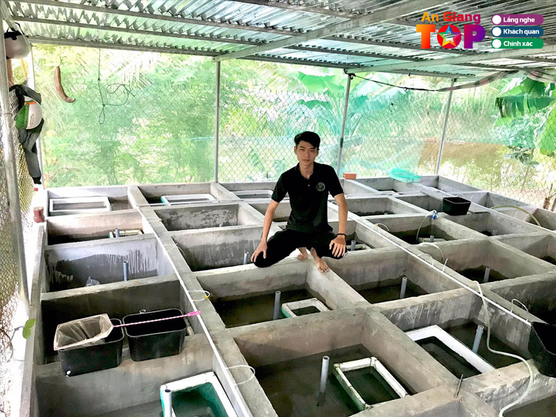 Ca-canh-son-binh-angiangtoplist