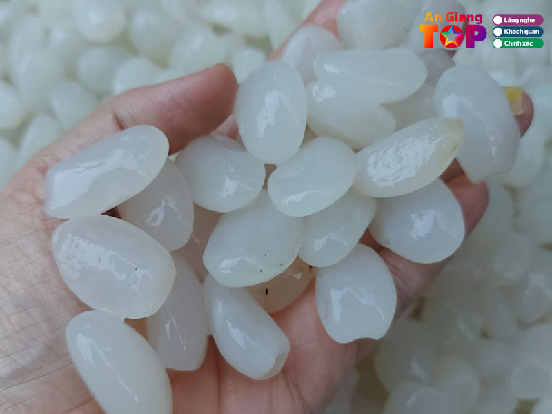 Hat-dac-nha-gao-angiangtoplist