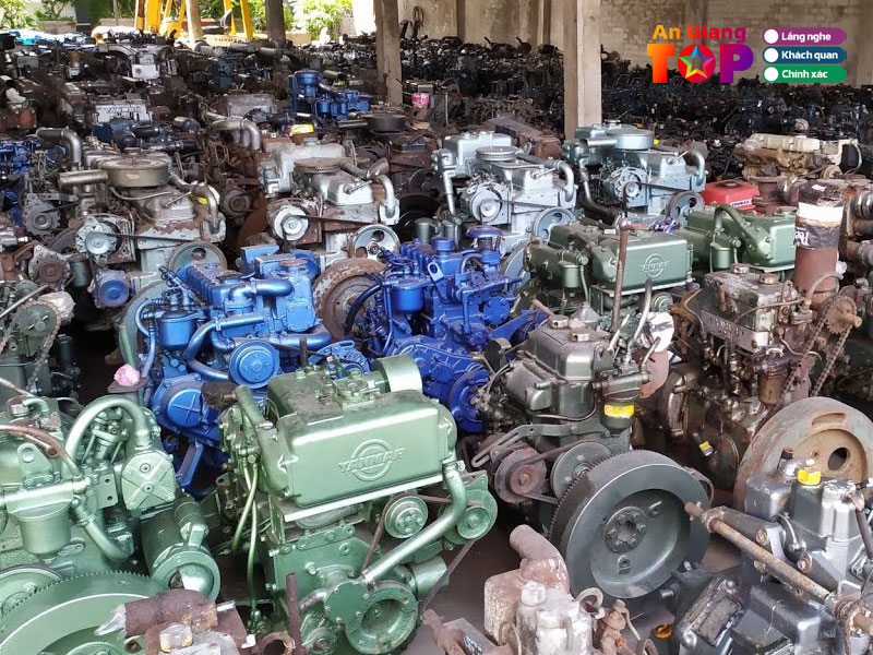 Nong-ngu-co-thanh-tung-1-angiangtoplist