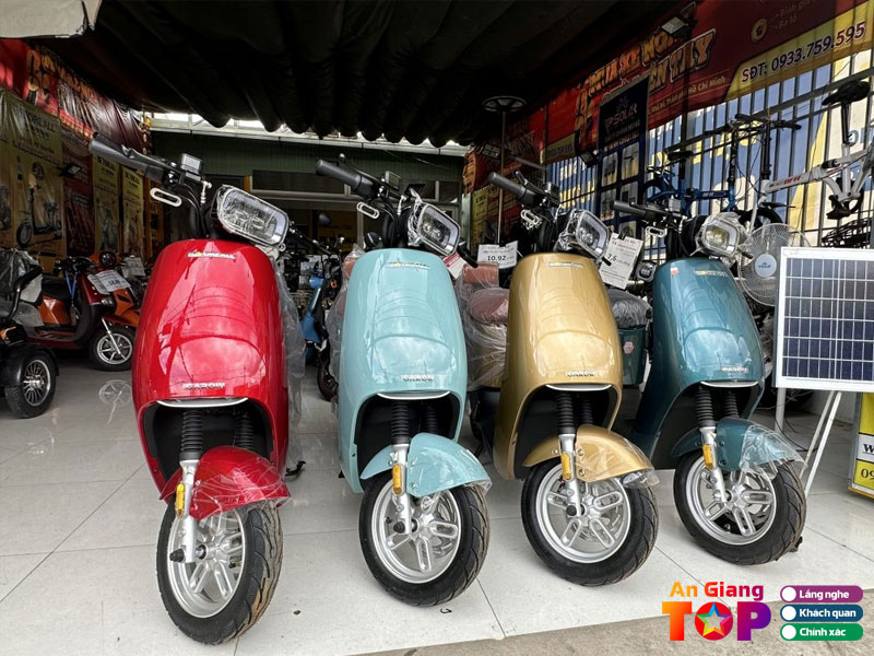Tieu-chi-lua-chon-mua-xe-tai-cua-hang-xe-dap-dien-o-an-giang-angiangtoplist