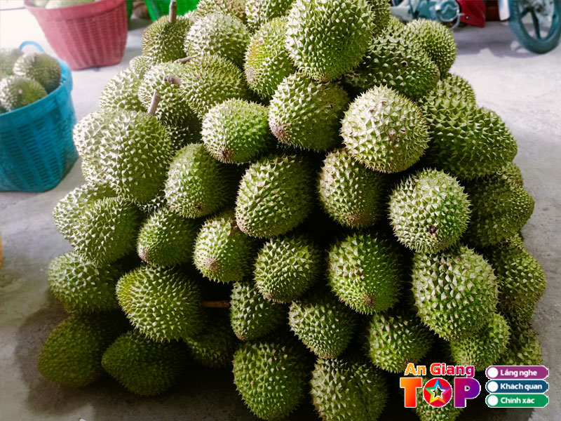 Vua-trai-cay-gai-angiangtoplist