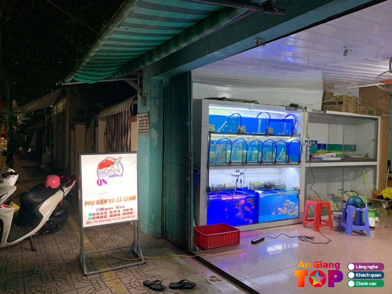 Ca-canh-qn-fish-angiangtoplist