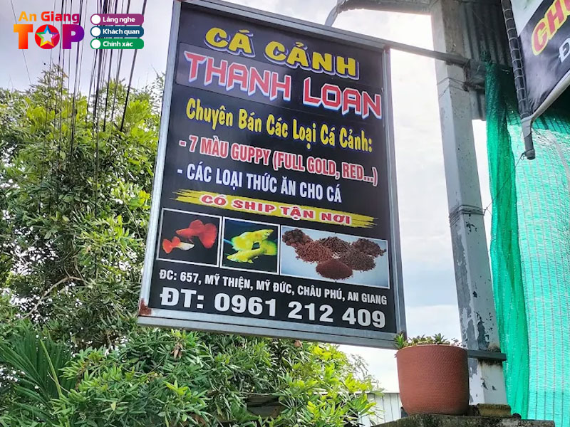 Ca-canh-thanh-loan-angiangtoplist