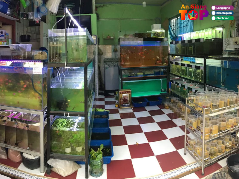 Ca-kieng-phuong-khanh-angiangtoplist