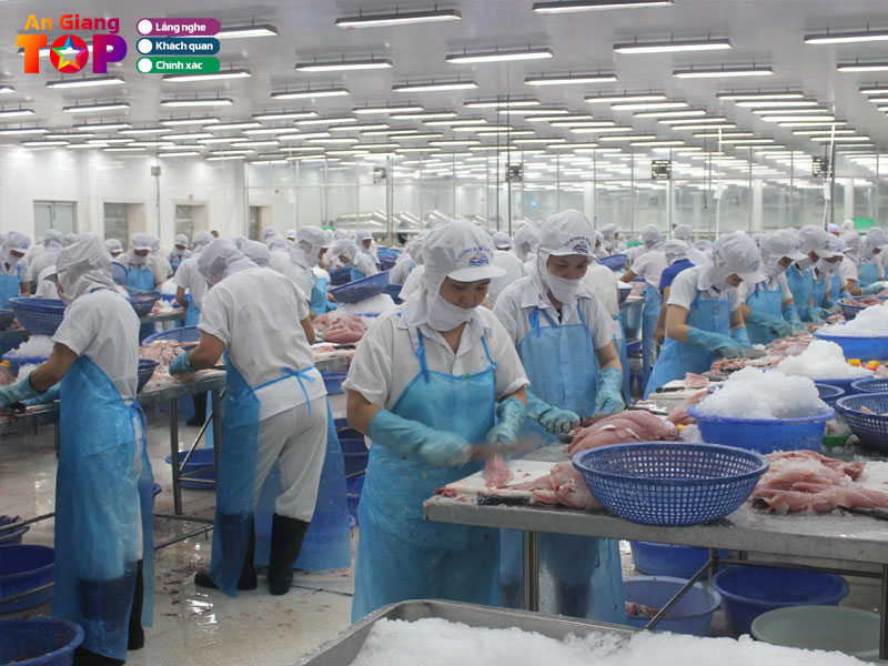 Cong-ty-cp-xnk-an-giang-angiangtoplist