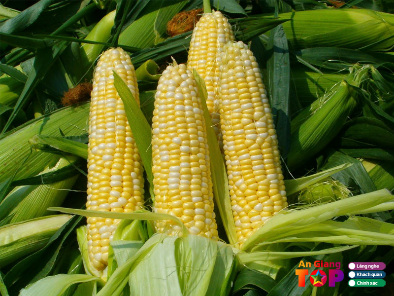 Cong-ty-tnhh-xnk-phuoc-chung-angiangtoplist