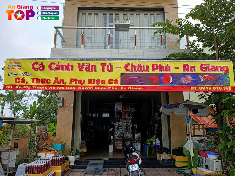 Cua-hang-ca-canh-van-tu-angiangtoplist