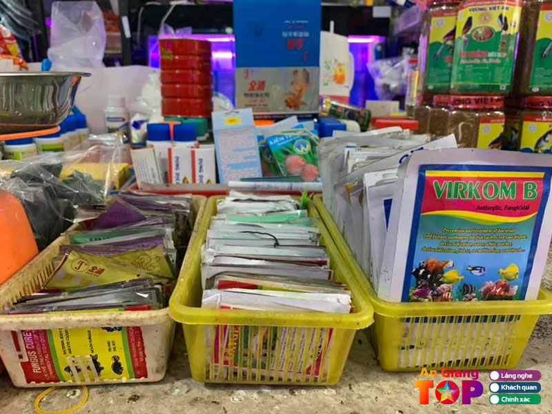 Cua-hang-ca-kieng-thai-binh-angiangtoplist