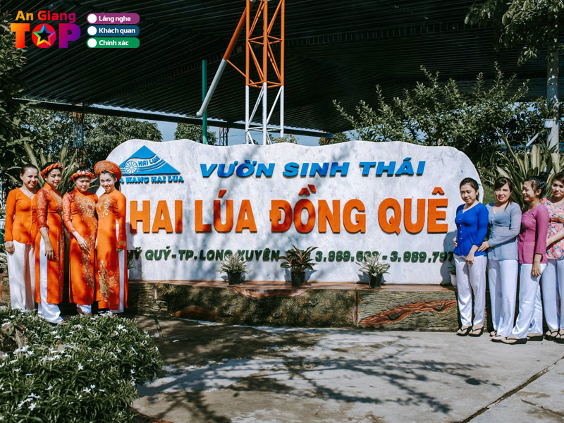 Hai-lua-dong-que-angiangtoplist