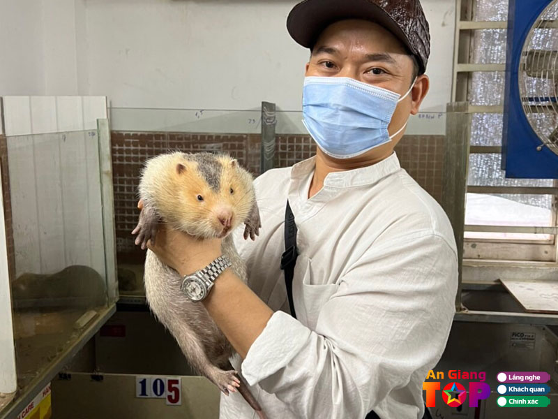 Trai-dui-giong-tuan-map-angiangtoplist