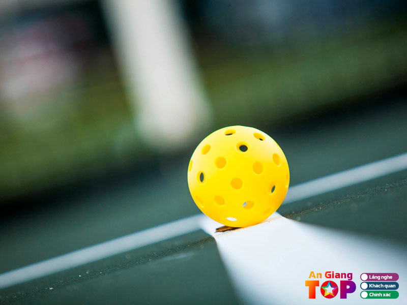Tieu-chi-lua-chon-noi-ban-bong-pickleball-o-an-giang-angiangtoplist