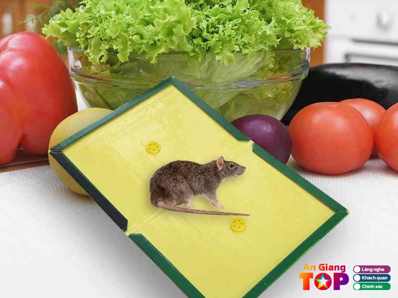 Winmart-1-angiangtoplist