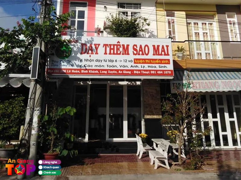 Day-them-sao-mai-angiangtoplist