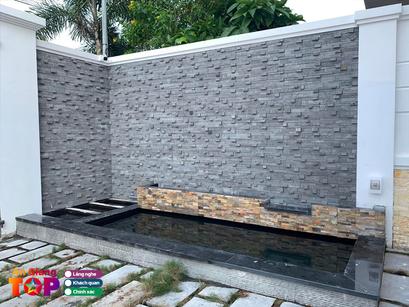 Koi-kien-giang-angiangtoplist