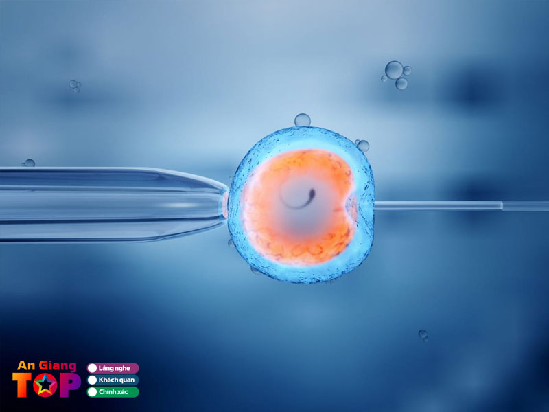 Nhung-truong-hop-nen-lam-ivf-angiangtoplist