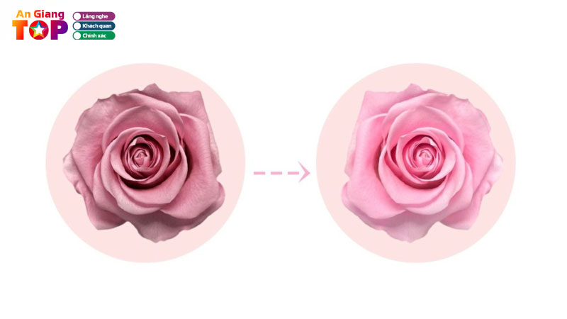 Top-5-dia-chi-lam-hong-nhu-hoa-o-an-giang-an-toan-hieu-qua-angiangtoplist