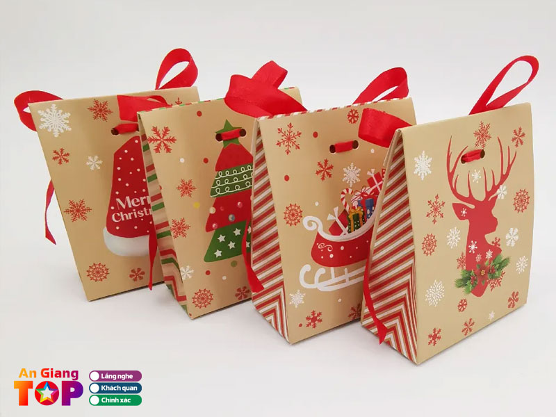 Kinh-nghiem-chon-tui-dung-qua-phu-hop-angiangtoplist