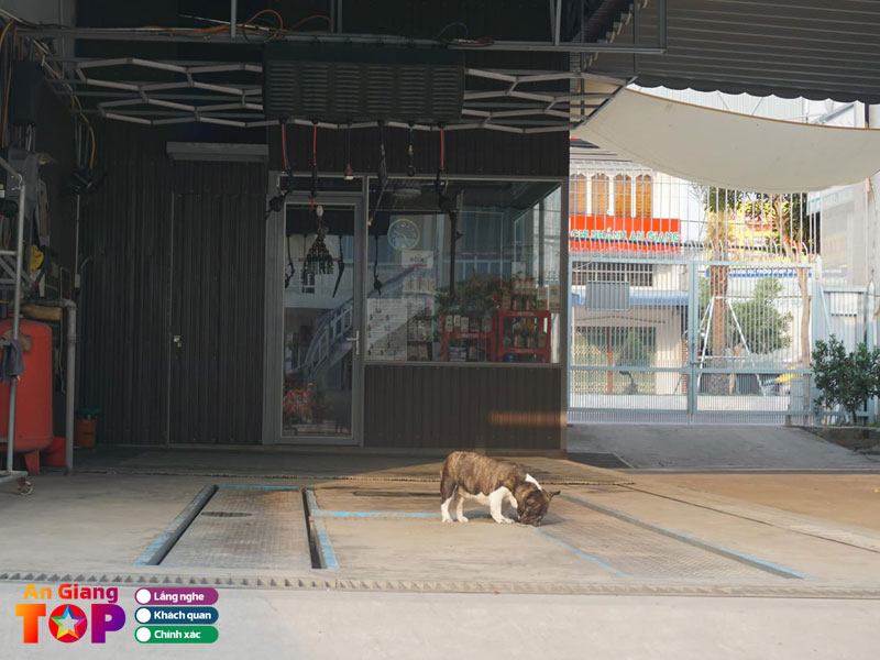 Min-car-detailing-angiangtoplist