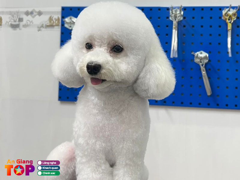 Chau-doc-pet-spa-angiangtoplist