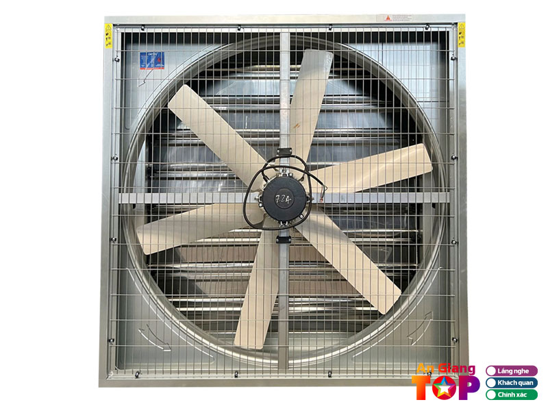 Cong-ty-tnhh-bhf-1-angiangtoplist