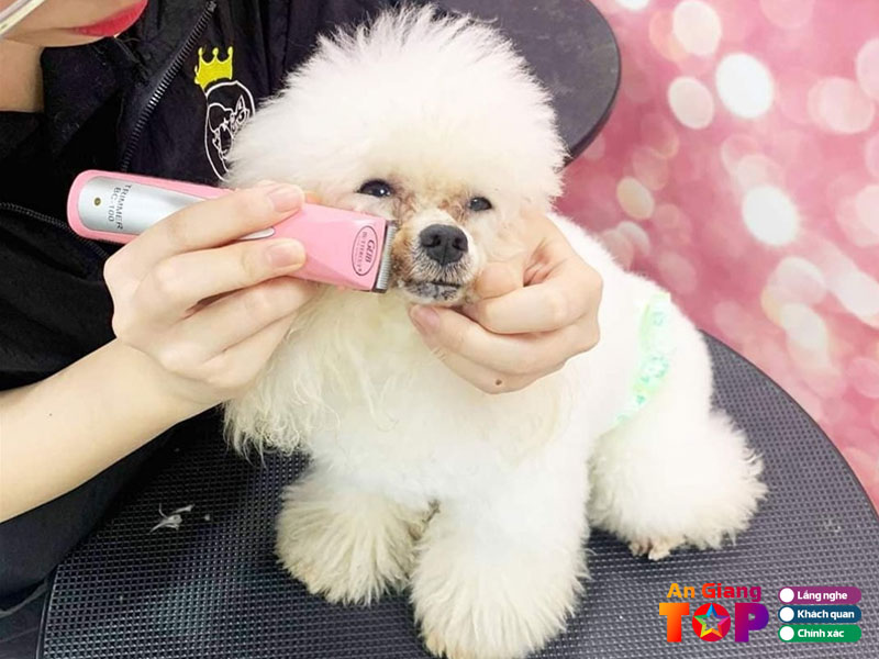 Lua-pet-shop-angiangtoplist