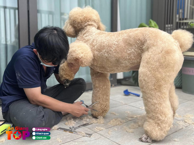 Nhung-luu-y-giup-thu-cung-thoai-mai-khi-di-spa-angiangtoplist