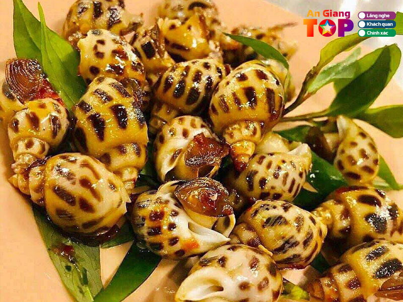 Oc-thi-102-angiangtoplist