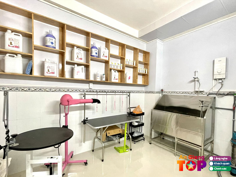 Phong-mach-thu-y-pet-su-angiangtoplist