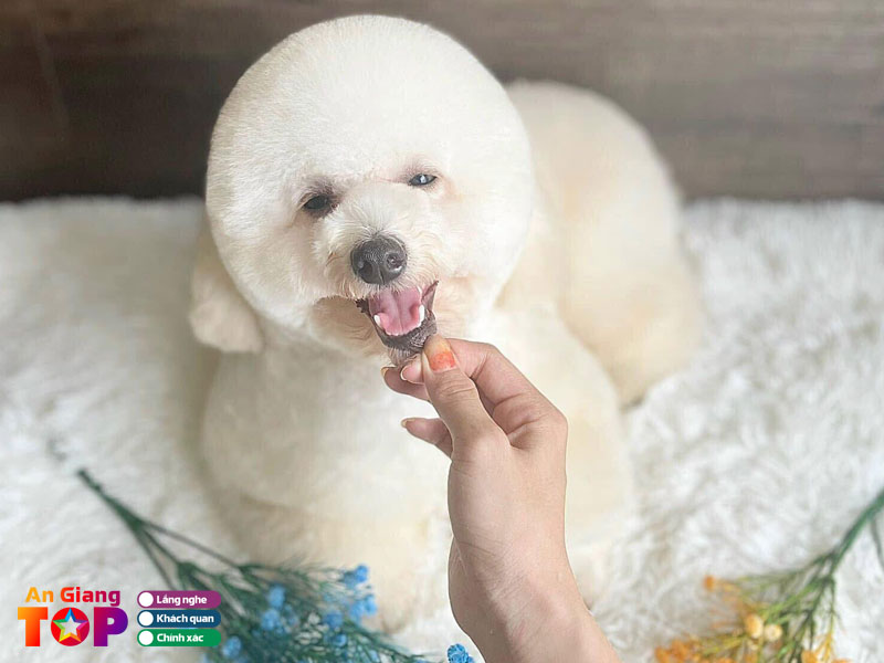 Song-nhi-grooming-angiangtoplist