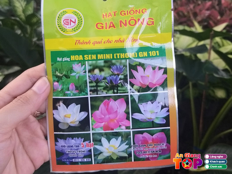 Cach-chon-hat-giong-hoa-chat-luong-angiangtoplist